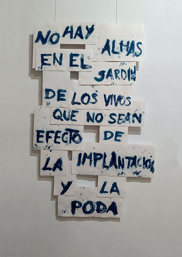 Foto obra para ig.jpg
