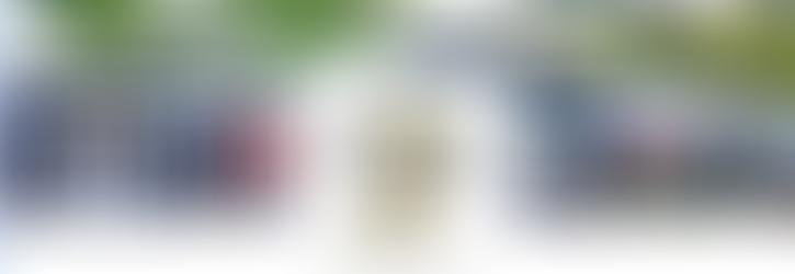 J Petter Galleries Douglas, MI