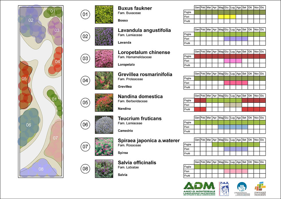 planimetria/fenologia