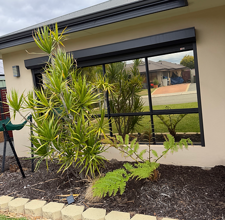 residential window film installation near Spearwood WA