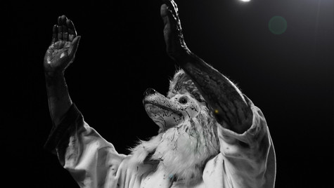 The Jesus Lizard