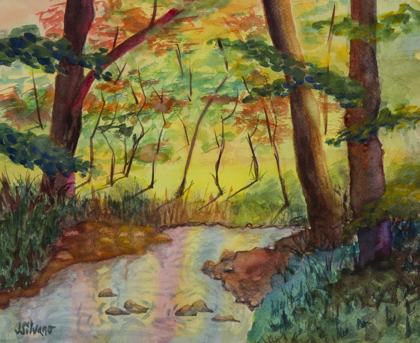 Rainbow Stream
