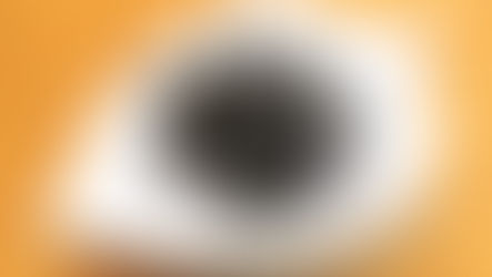 2026年産最初の新茶が入荷しました！