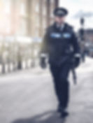 Licensing Professionals guide to the Licensing Act 2003