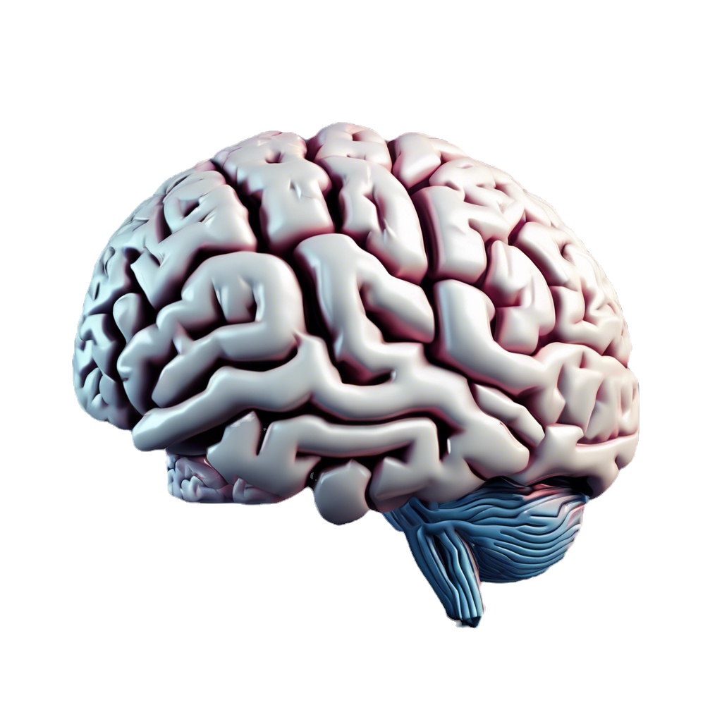 brain_edited.png