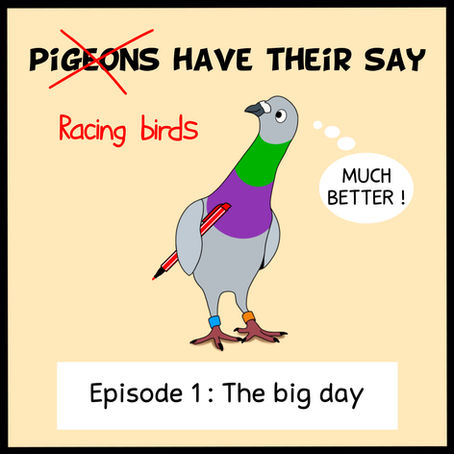 Pigeons have their say - Episode 1