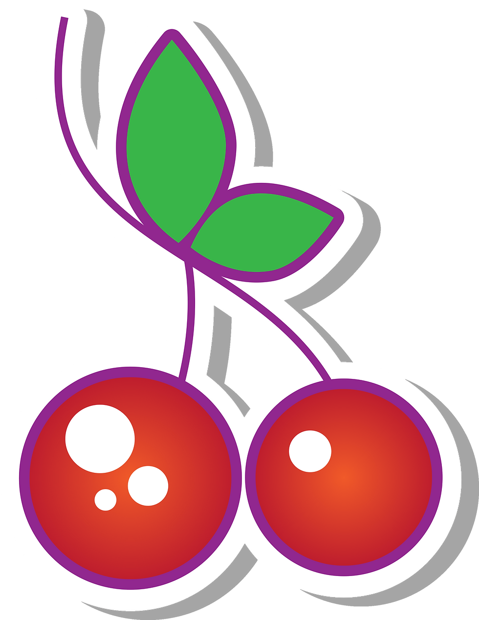 icon depicting two red ripe cherries