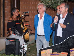 Il volo delle rondini