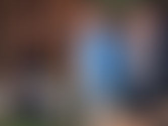 Il volo delle rondini