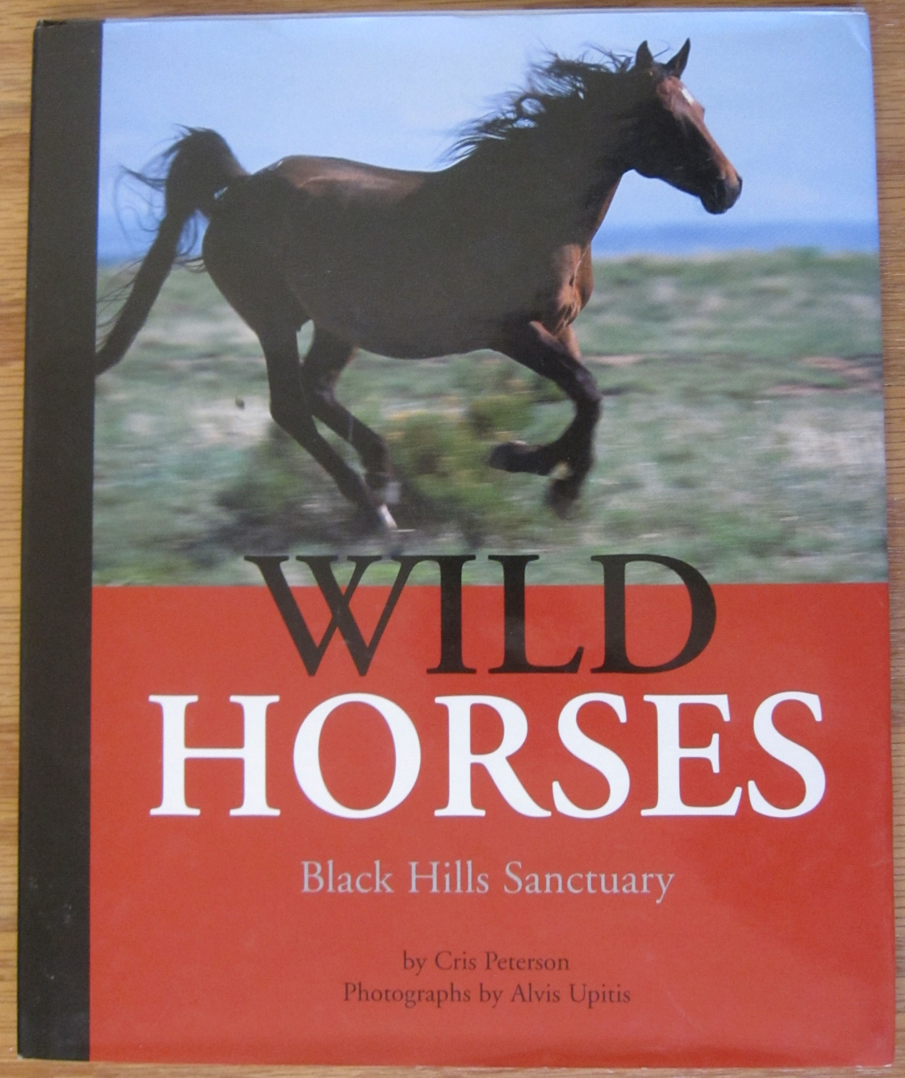 Wild Horses Black Hills Sanctuary