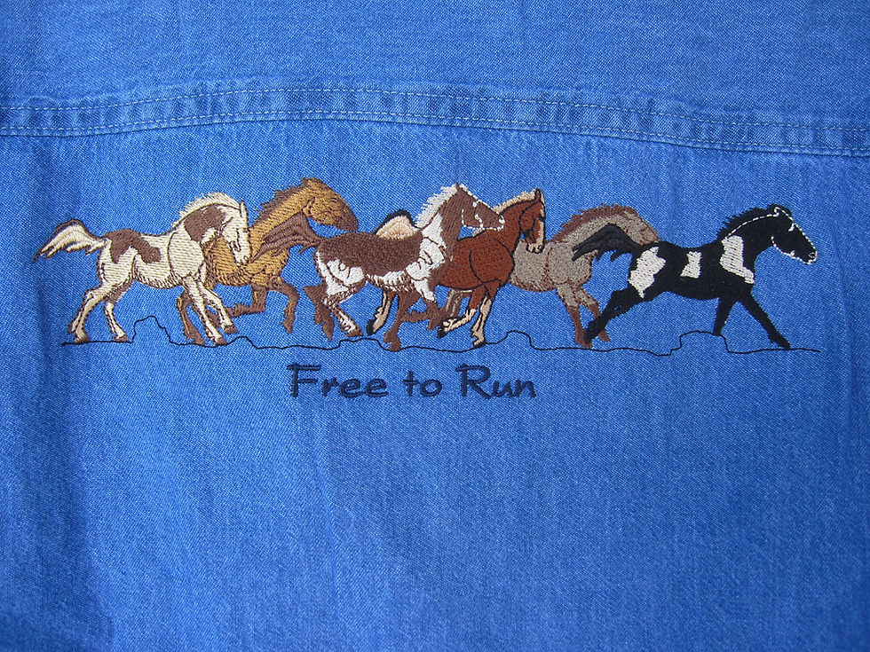 Thumbnail: Special 37th Anniversary Button-up Denim Shirt