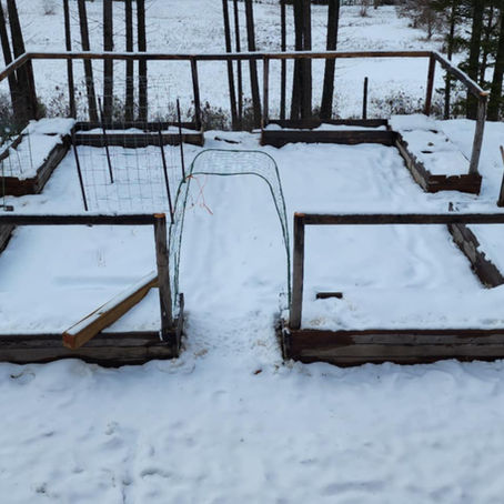 Embracing Winter: A Journey Through Snow and Gardening