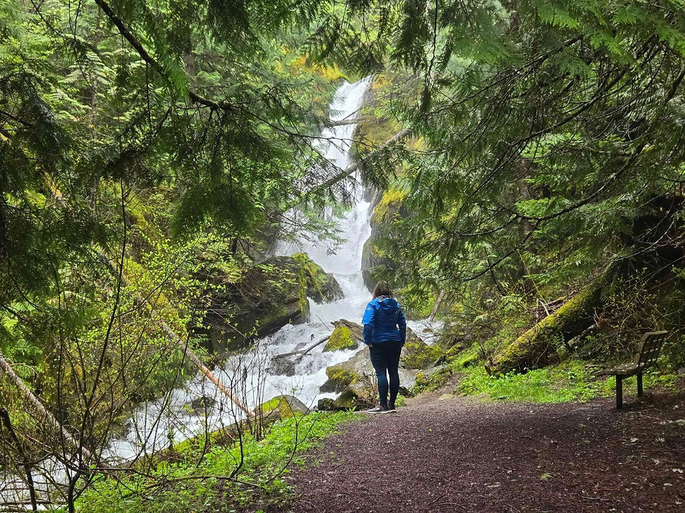 Welcome Chronically Tired Gardeners