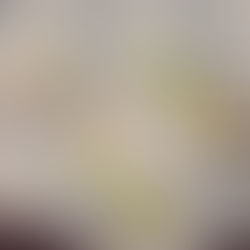 Its Seed Starting Time!