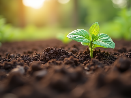 Helpful Tips for Managing Low Spoons in Permaculture