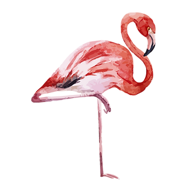 Flamingo 1