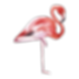Andrew Voller flame bird