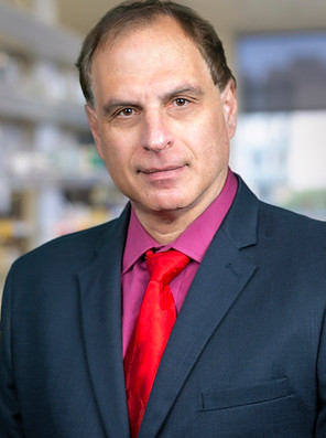 Mark Shapiro_Head Shot 2018b.jpg