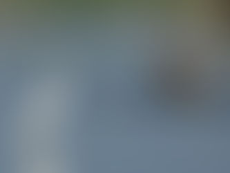 6月に確認した野鳥