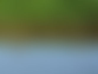 7月に確認した野鳥