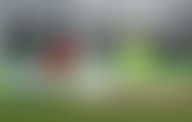 Später Doppelschlag entscheidet: Schweinfurt schlägt Stuttgart II mit 3:1