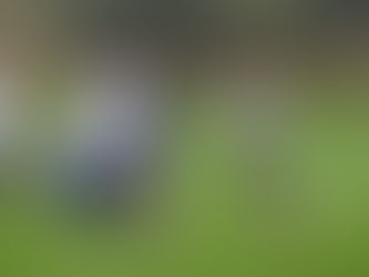 Kirchaich schickt Traustadt/Donnersdorf mit Ausrufezeichen Richtung Relegation