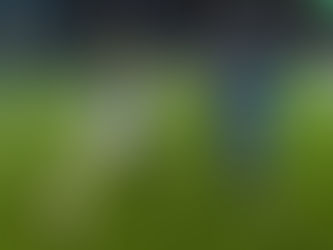 1:1 in Fürth: Starker Gästesupport für FC Schalke 04 – klare Worte von Muslic