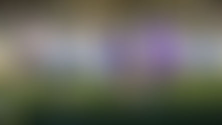 Eintracht im Kollektiv stark: 3:0 gegen Regensburg, Ljevsic mit Doppelpack vorneweg