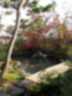 Japanese residential gardens: Ideas from Japan