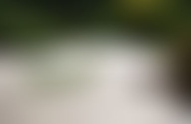 keys to japanese garden composition | hira-niwa or "flat gardens"