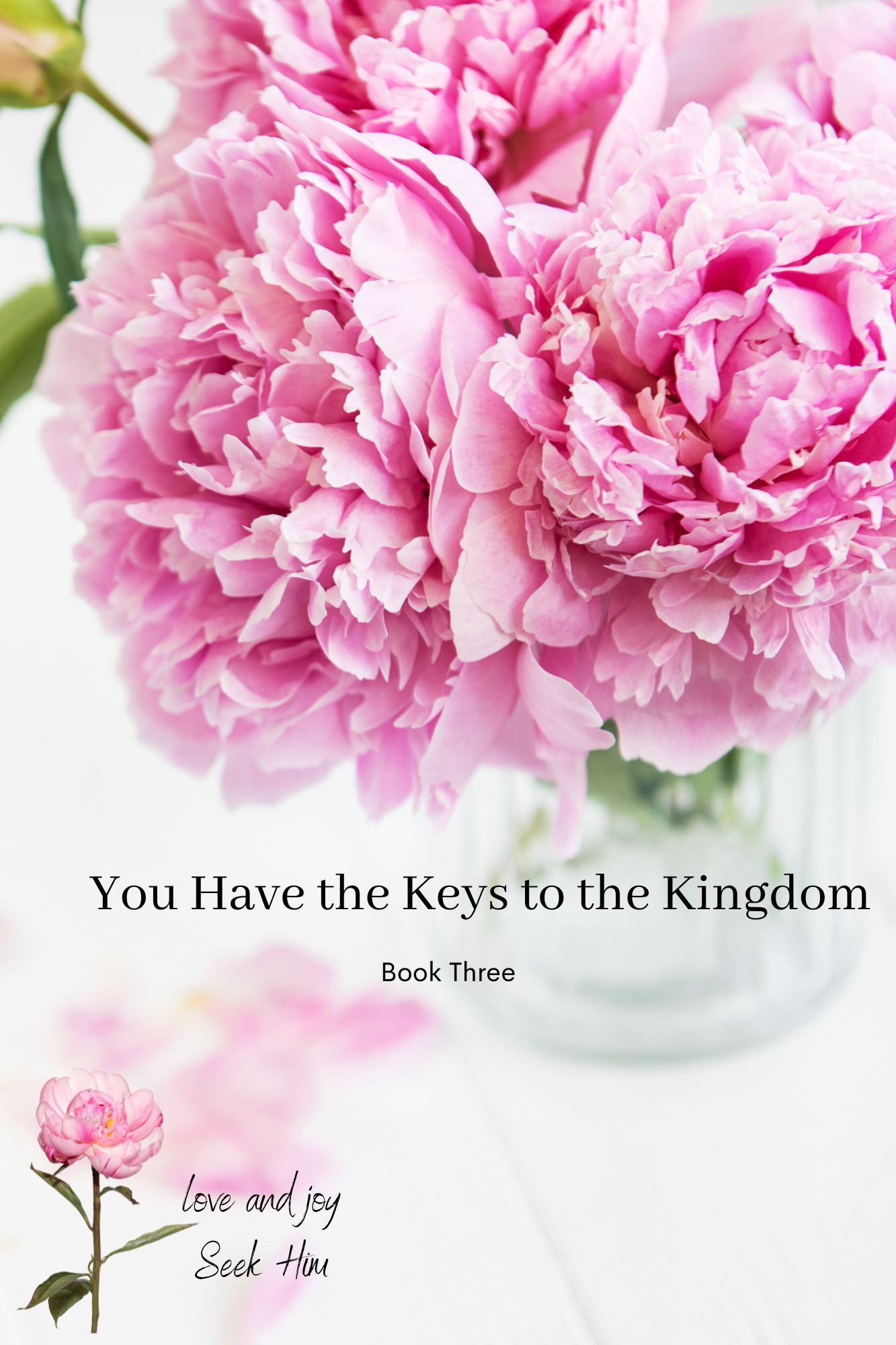 Book 3 - You Have the Keys to the Kingdom