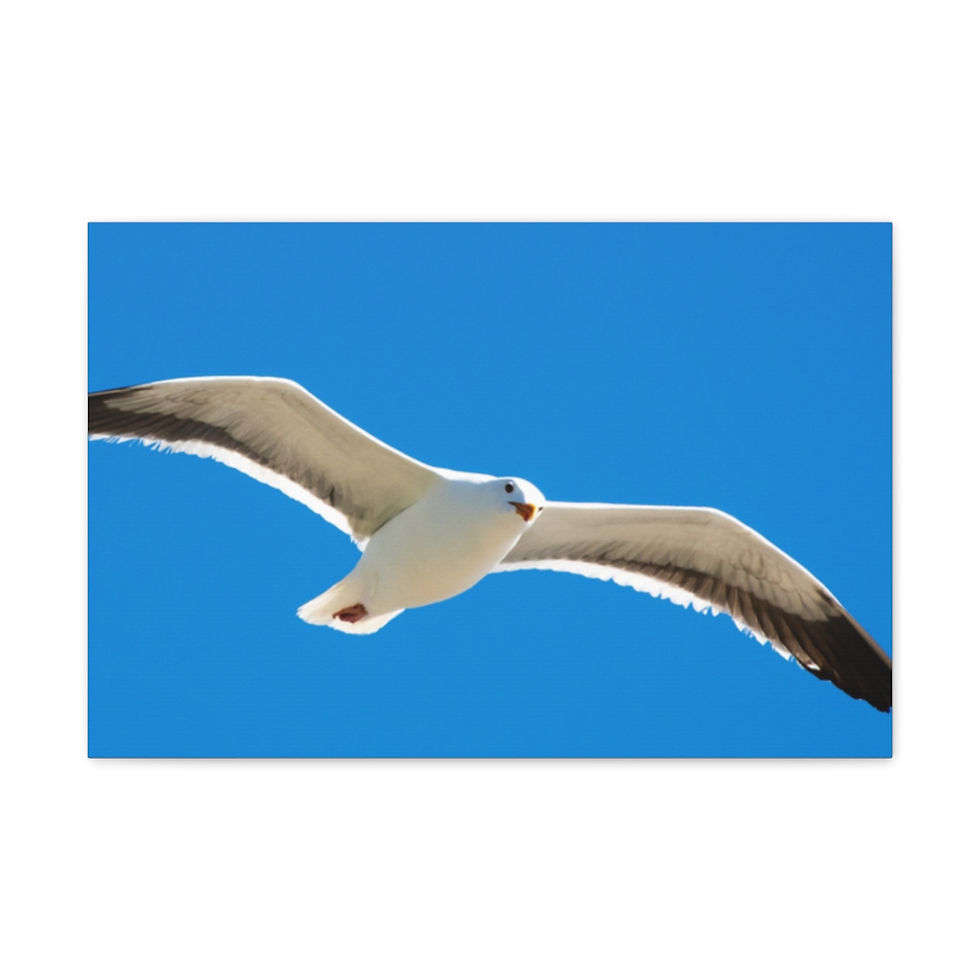 Thumbnail: Free As A Bird