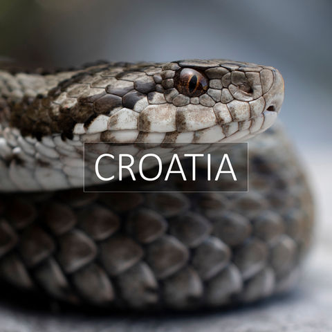Portfolio of Biodiversity in Croatia.