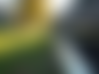 Revitalize Your Home: 5 Exciting Spring Maintenance Tips for Homeowners!