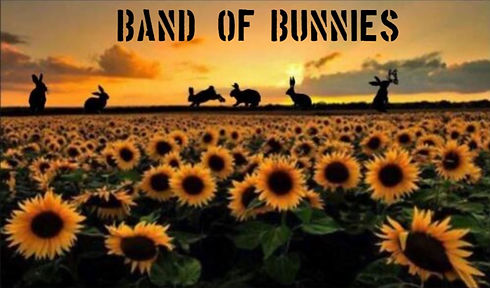 band of bunnies.JPG