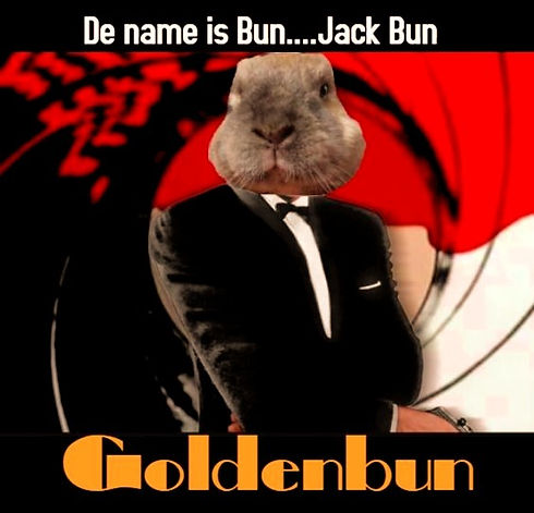 James Bun_edited_edited.jpg