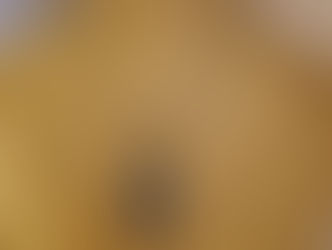 Briller pour les fêtes !!