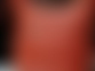 Des sacs ... en cuir!