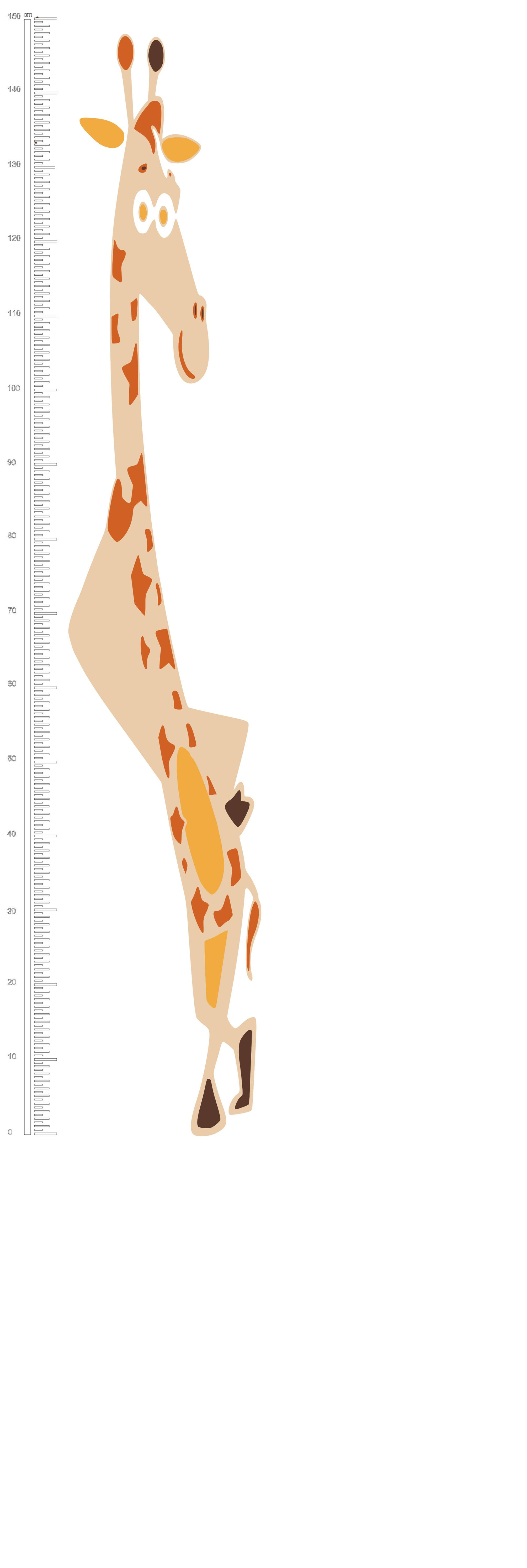 1.5 Meter x 50 CM Wall Measure Wall Decall