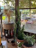La Moscadella Breakfast Room