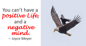 Don't be a Crow