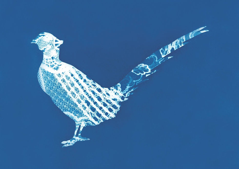 Pheasant A6 Greetings Card