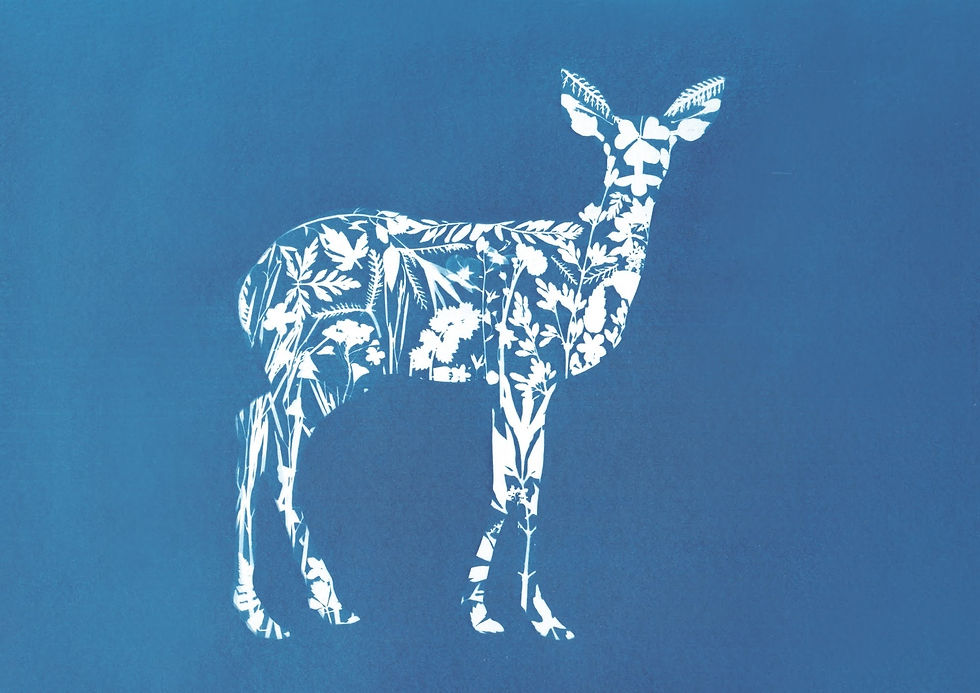 Deer A6 Greetings Card