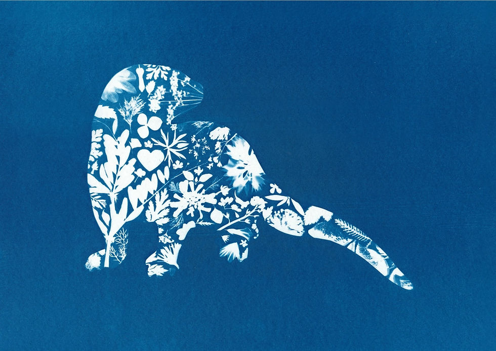 Otter A6 Greetings Card