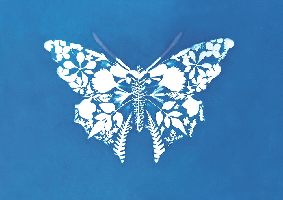 Butterfly 2 A6 Greetings Card