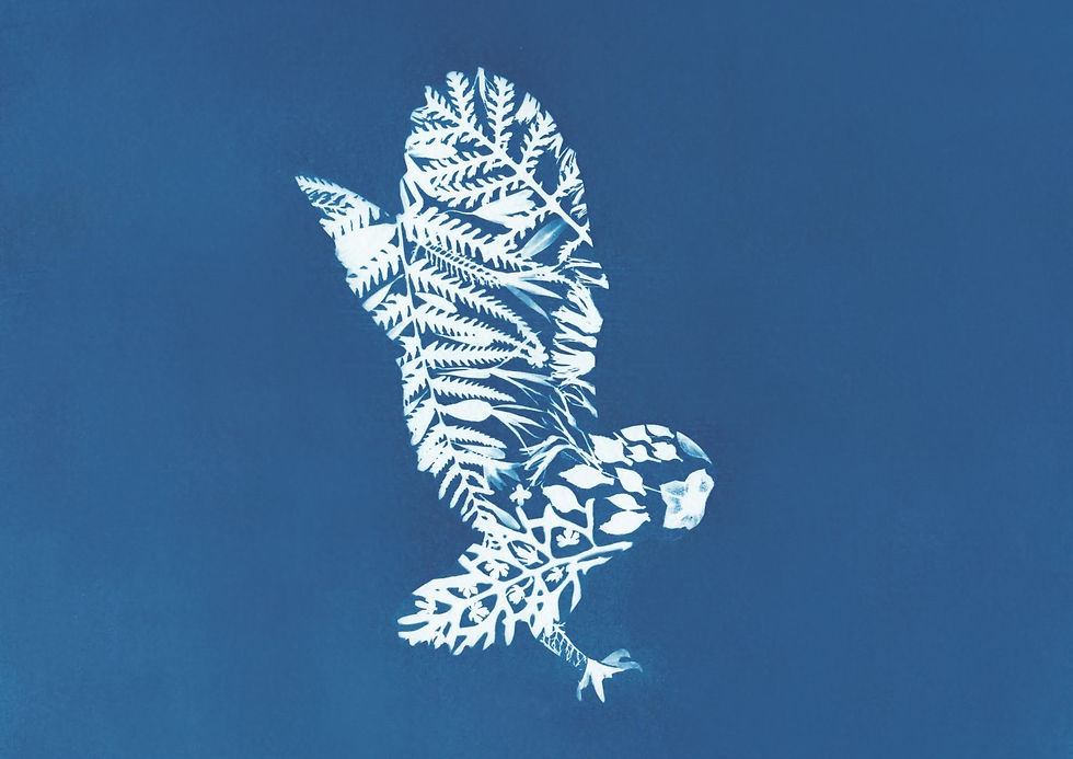 Owl A6 Greetings Card