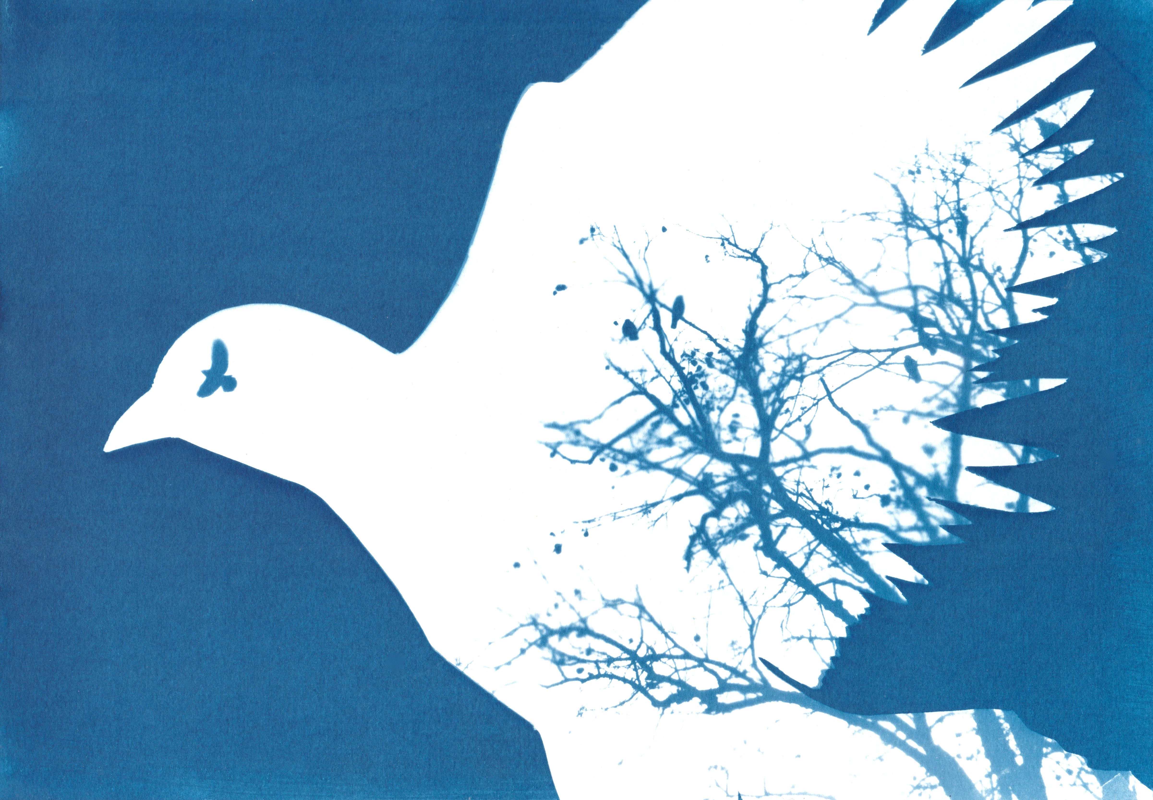 Bird In Flight A6 Greetings Card