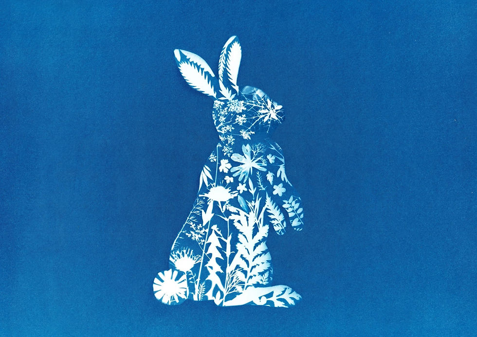 Rabbit A6 Greetings Card