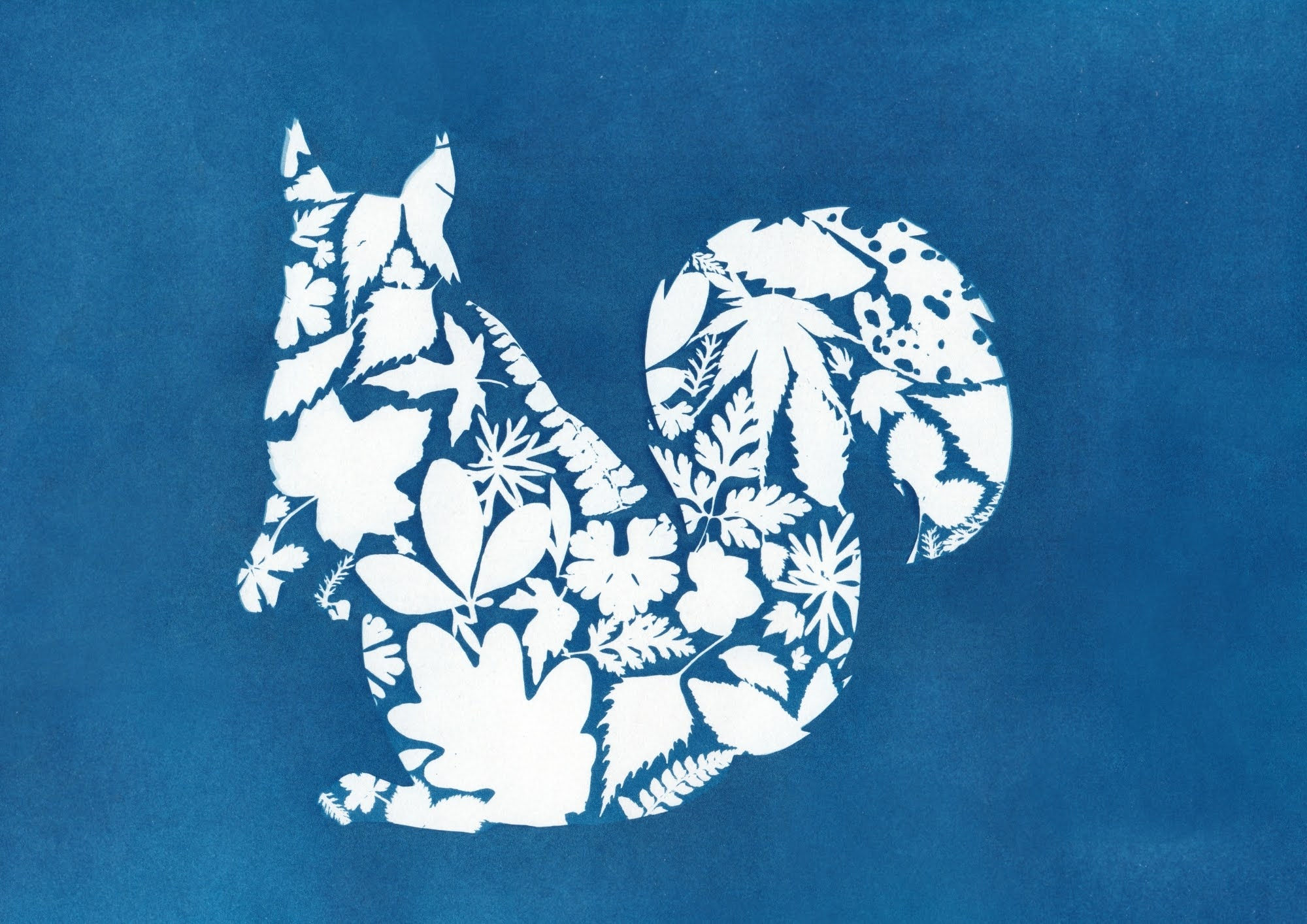 Squirrel A6 Greetings Card