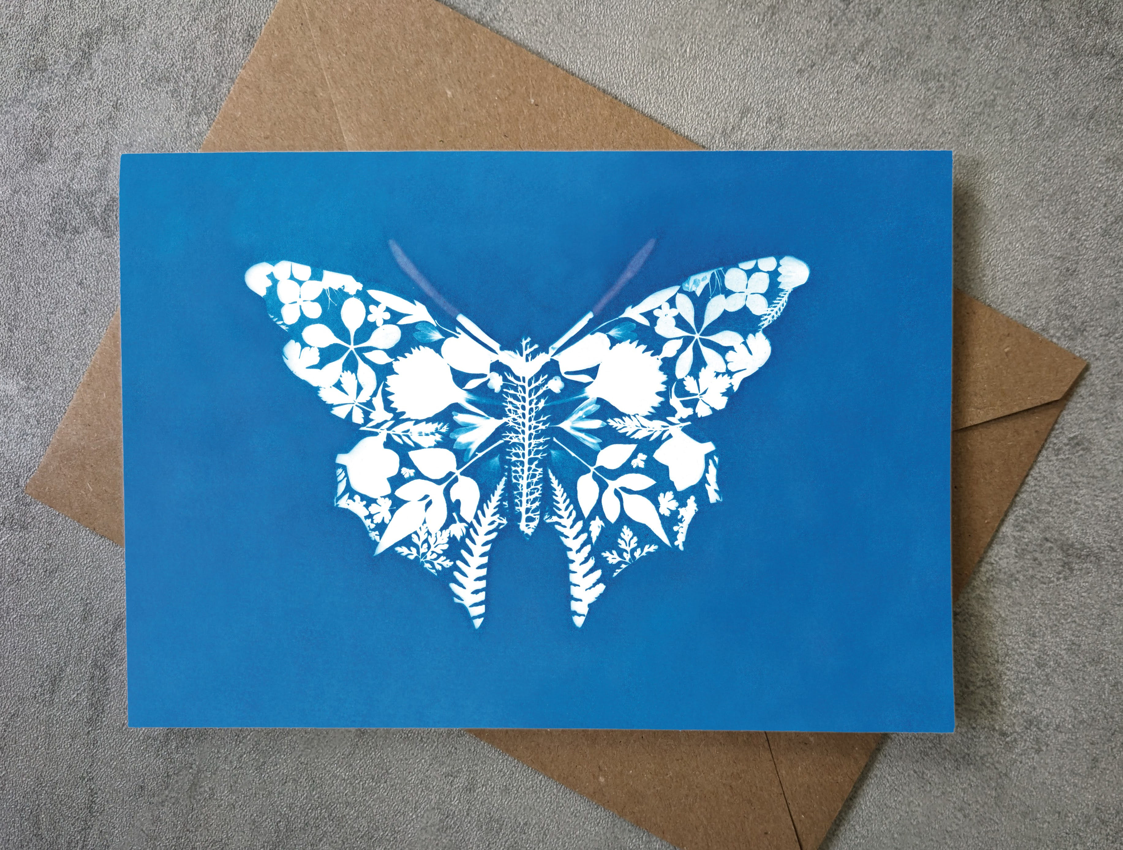 Butterfly 2 A6 Greetings Card